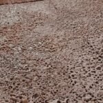 WhatsApp Image 2025-11-22 at 05.30.13_d5d47723